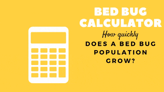 Introducing bed bug calculator.